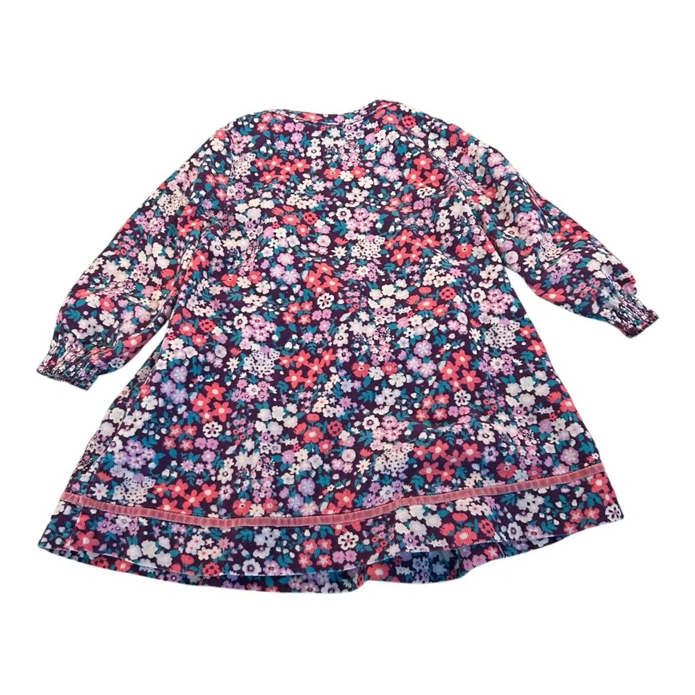 Old Navy 2011 Floral Corduroy Velvet Trim‎ Smocked Girls Dress